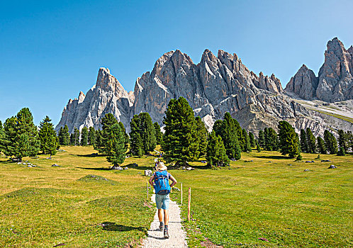 远足,徒步旅行,靠近,山谷,仰视,顶峰,后面,群体,白云岩,南蒂罗尔,意大利,欧洲