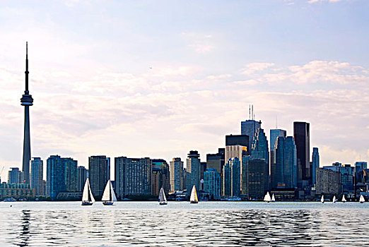 多伦多,港口,天际线,加拿大国家电视塔,摩天大楼
