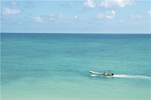 热带,加勒比海,船,青绿色
