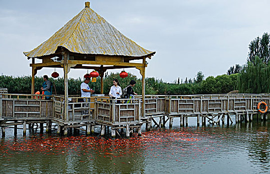 新疆大河口博斯腾湖景区风光