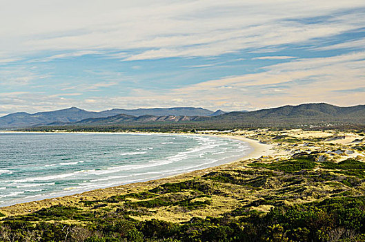 俯视,海滩,保护区,塔斯马尼亚,澳大利亚