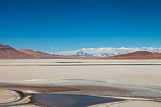 南美,阿根廷,省,胡胡伊,风景,阿塔卡马沙漠,智利