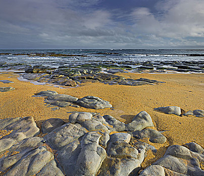 海岸,南部地区,南岛,新西兰