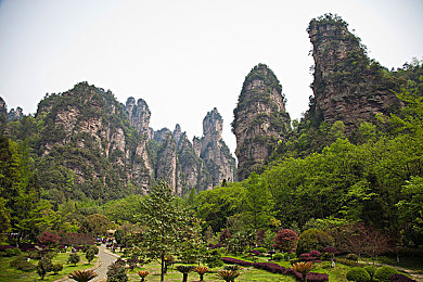 郁郁图片