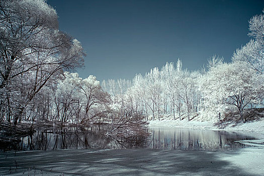 雪景