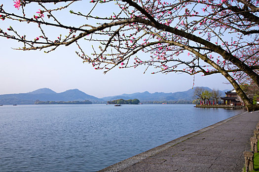 杭州西湖春天苏堤美景
