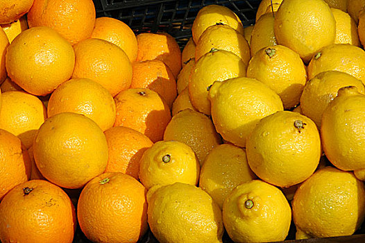 橘子,柠檬,展示