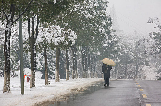 东钱湖,雪景,冬天,下雪,洁白