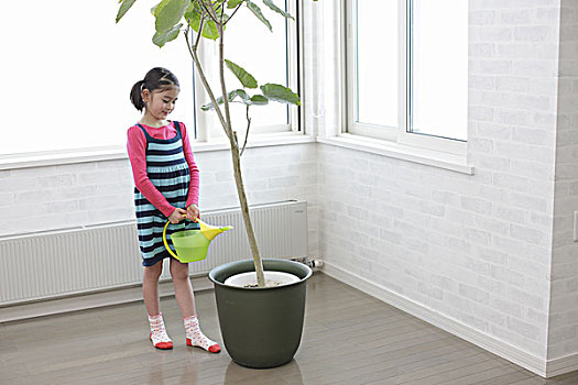 女孩,洒水壶,植物