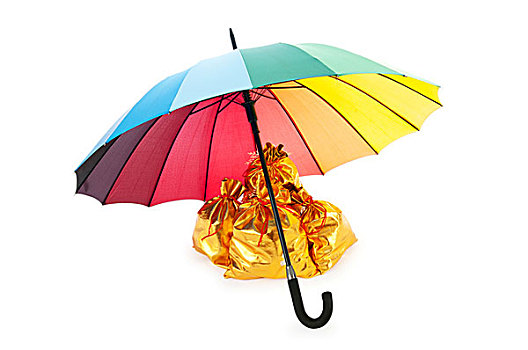 金色,袋,防护,伞