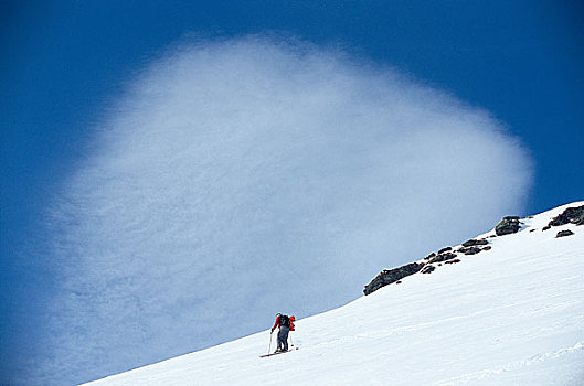 游客,滑雪