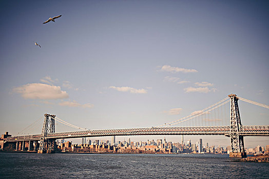 美国,纽约,威廉斯堡,桥,风景,曼哈顿