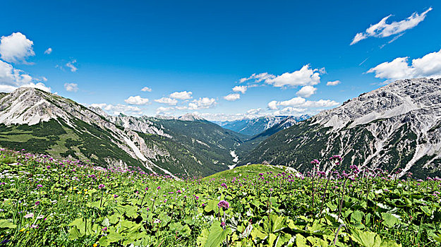 阿尔卑斯山,风景,山谷,巴特辛德朗,巴伐利亚,德国,欧洲