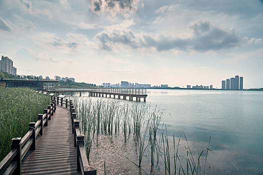 湖南长沙夏季松雅湖湿地公园风景