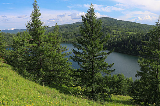 阿尔山风景