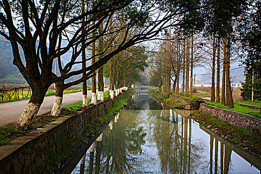 鄞州,咸祥镇,古村,村庄,芦浦村