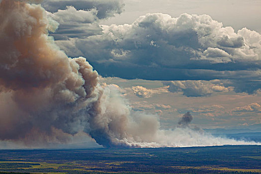 森林火灾,跟随,靠近,费尔班克斯,阿拉斯加,美国