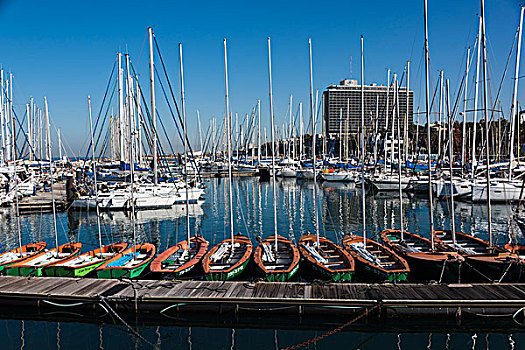 特拉维夫,码头,许多,帆船,停泊,地区,以色列