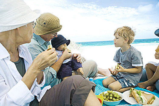 祖父母,孙辈,野餐,海滩