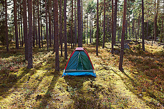 帐蓬,营地,树林