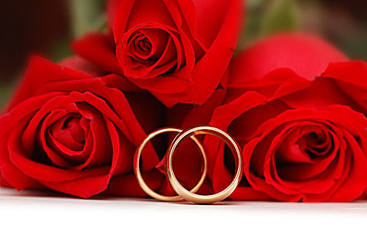两个,黄金,婚戒,红玫瑰