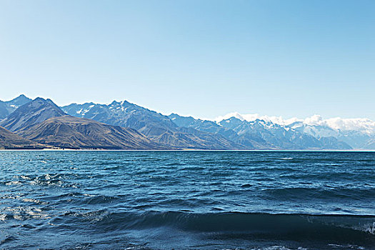 风景,湖,夏天,新西兰