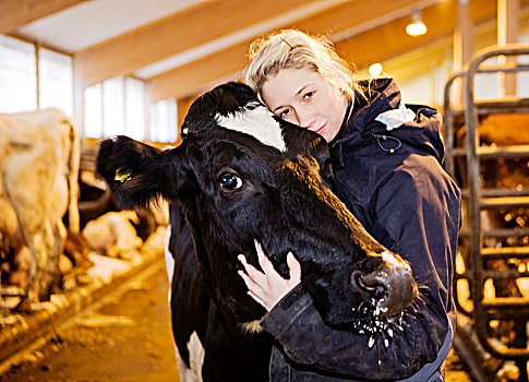 女人,母牛,谷仓,瑞典