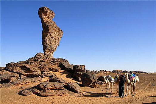 男人,骆驼,直立,站立,高,石头,沙漠,利比亚