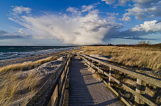 海滩,波罗的海,海岸,靠近,阿伦斯霍普,梅克伦堡前波莫瑞州,德国,欧洲