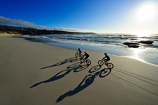 山地车手,沙滩,长,荫凉,自行车旅游,海滩,自然保护区,西海角,南非,非洲
