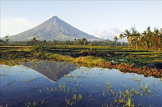 菲律宾,吕宋岛,省,攀升,靠近,完美,火山,反射,水