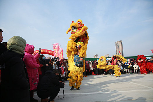 年货大集上醒狮欢腾,市民争相观看抚摸图个好彩头