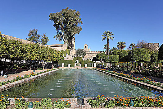 花园,城堡,基督教,科多巴,安达卢西亚,西班牙