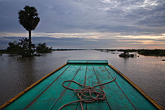 泛舟,靠近,收获,柬埔寨