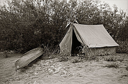露营,20世纪50年代