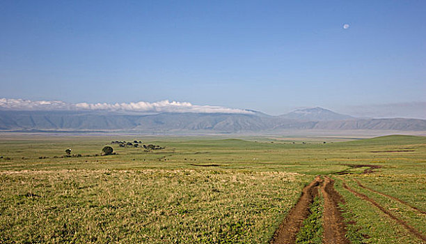 非洲,坦桑尼亚,风景,月亮,恩戈罗恩戈罗火山口,恩戈罗恩戈罗,保护区