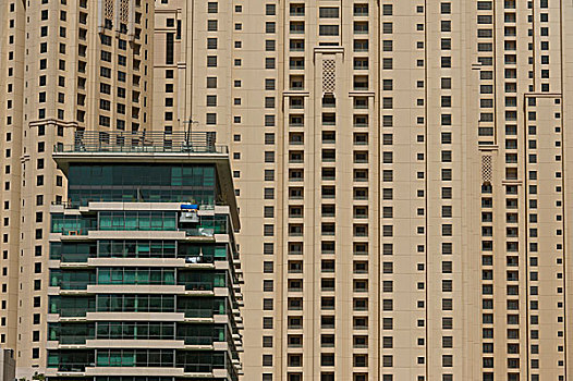 高住宅楼,建筑,迪拜,码头,阿联酋