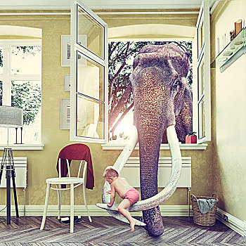 大象,室内,窗户,婴儿,照片,组合,概念