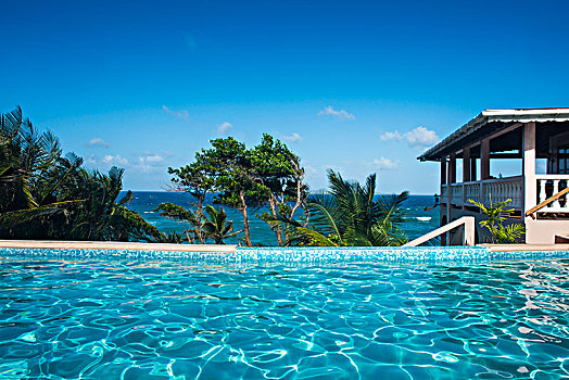 游泳池,豪华酒店,远眺,海洋,靠近,格林纳达,加勒比