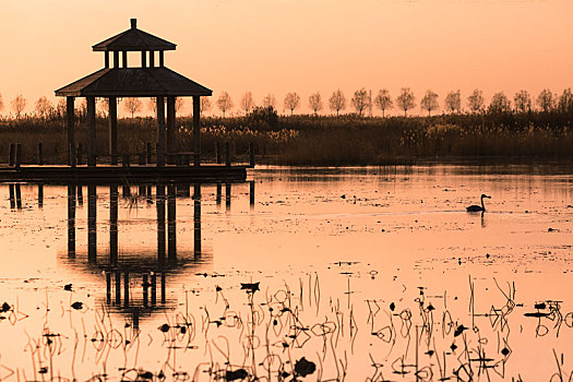 沙湖农场,沙湖景区