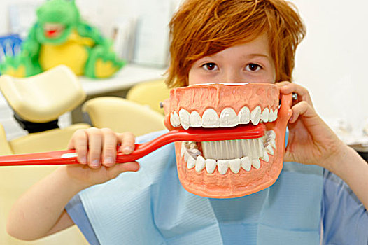 男孩,指示,牙齿,模型,口腔卫生,牙齿保健,拜访