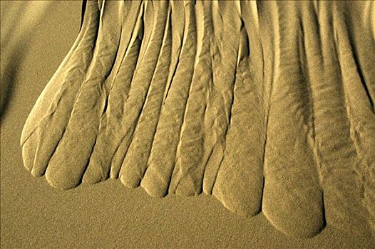 滑动,沙子,戈壁沙漠,国家公园,蒙古