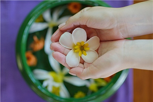 女性,手,花,水中