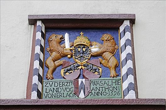 盾徽,大门,建筑,城堡,历史,博物馆,阿尔皋,瑞士,欧洲