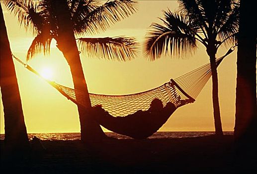 夏威夷,夏威夷大岛,毛纳拉尼,剪影,伴侣,放入,吊床,海滩,日落,棕榈树