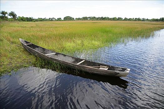 木质,独木舟,岸边,湖,圭亚那,南美