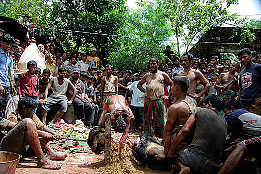 人,印度教,山羊,白天,礼拜,女神,庙宇,孟加拉,一月,2007年