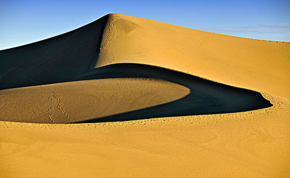 星,沙丘,豆科灌木,沙子,战争,晨光,大礼帽,死亡谷国家公园,莫哈维沙漠,加利福尼亚,美国