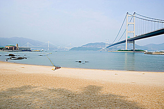 公园,岛屿,海滩,桥,香港