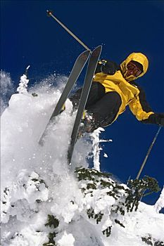 蒙大拿,男人,下坡,跳台滑雪,大,山,冬季,肖像,雪,树,极限,人